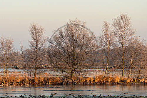 Naturpark Bourtanger Moor - Bargerveen