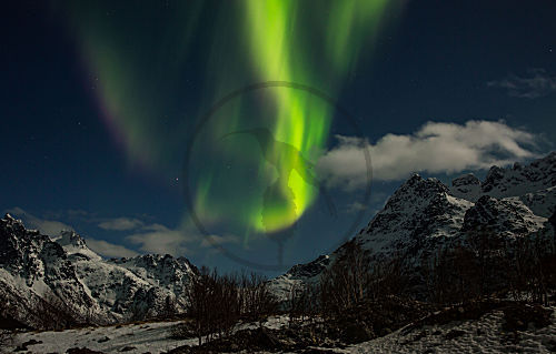 Polarlichter am Austnesfjord