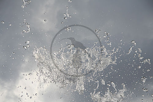 Regenwasser, Fontäne, Wassertropfen