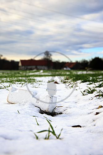 Plastikmüll auf einem Acker mit Wintergetreide