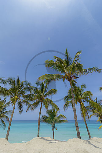 Kuba karibischer Strand