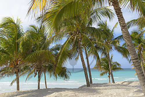 Kuba karibischer Strand