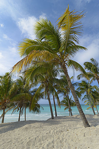 Kuba karibischer Strand