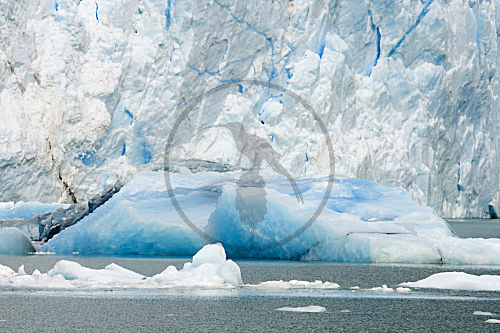 Blaues Eis Perito Moreno Gletscher, Argentinien