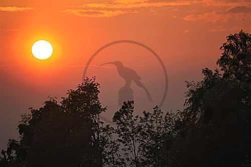 Sonnenuntergang