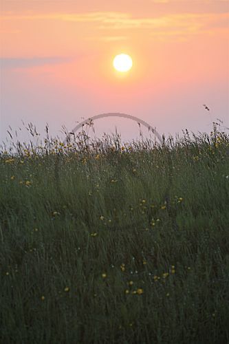 Sonnenuntergang