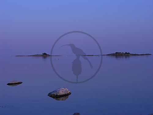 No Horizon