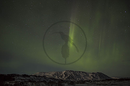 Polarlicht Thingvellir-Nationalpark