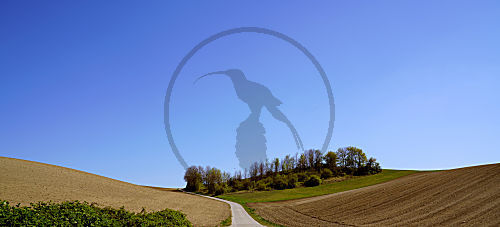 Ackerbau, landwirtschaft in Niederösterreich