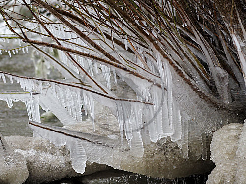 Eiszapfen am Ufer