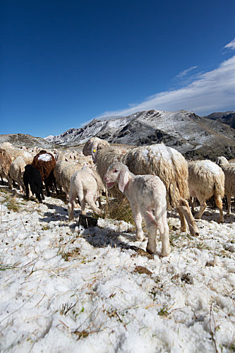 Val Trompia