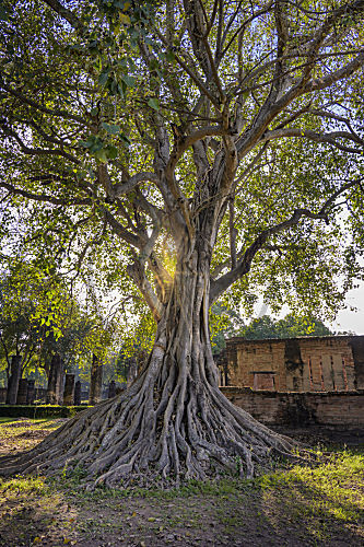 Wat Si Sawai im Geschichtspark Sukhothai, Sukhothai, Thailand