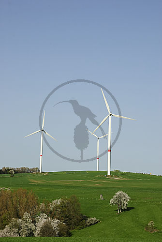 windenergieanlagen