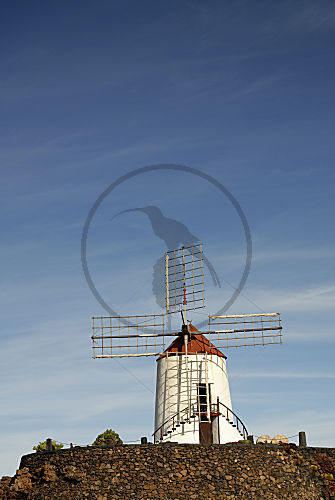 Gofio-Mühle