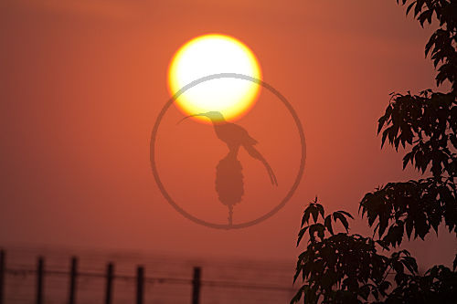 Sonnenuntergang