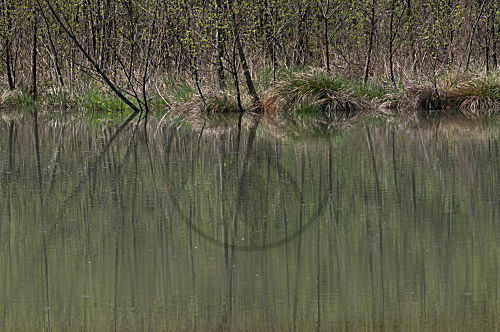 Wasserspiegelung