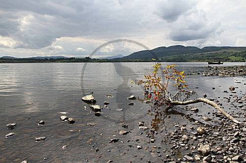 Lake of Menteith