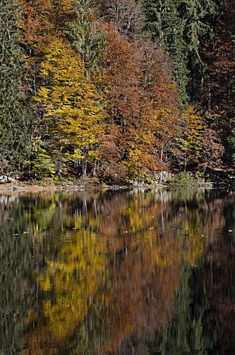 Spiegelung