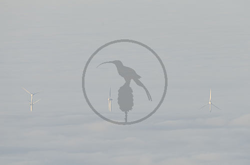 Windkraft durch Nebeldecke