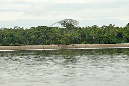 Rio Napo