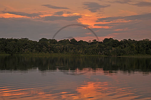Ecuador, Rio Napo, Yasuni NP