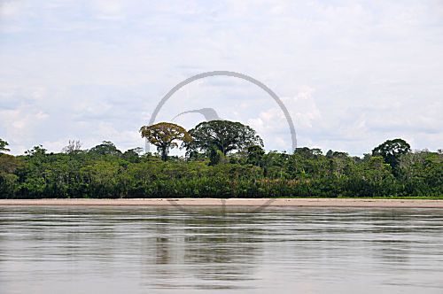 Ecuador, Rio Napo, Yasuni NP