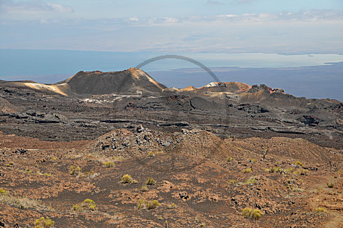 Sierra Negra Vulkan