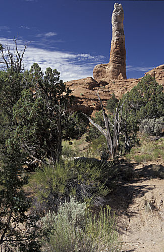 Kodak Basin N.P.