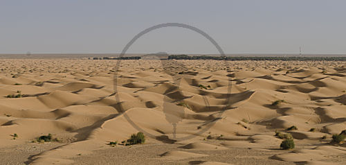 Sandwüste