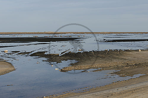 Lagune