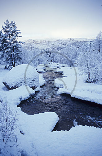 Bergbach im Winter