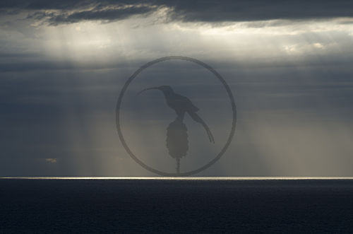 Sonnenreflex, Meer