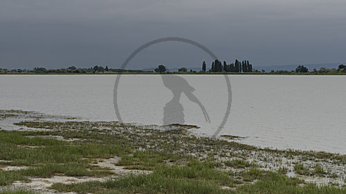 Lake, Neusiedlersee