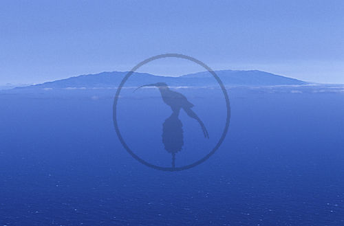La Palma