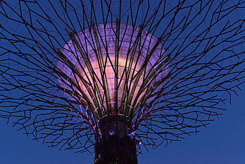 Singapur, Gardens by the Bay, künstliche Bäume