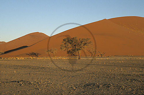 Sanddünen