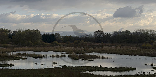 Petit Camargue Alsacienne