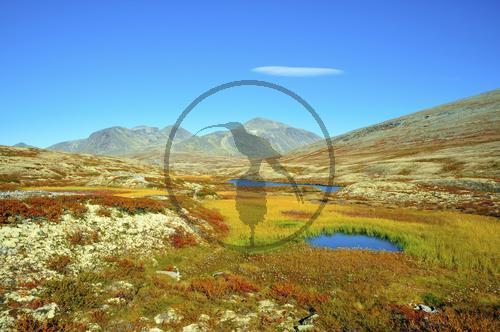 Rondane