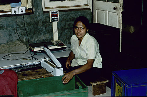 Arbeiter in der Teefabrik