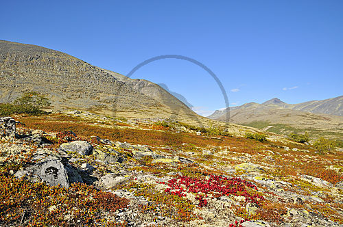 Rondane