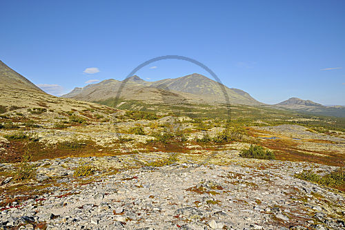 Rondane