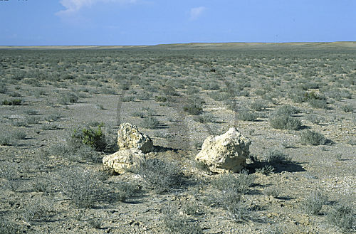 Wüste in Baja California
