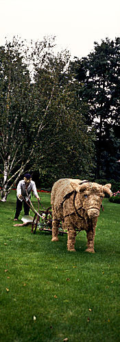 strohgespann. ox and farmer
