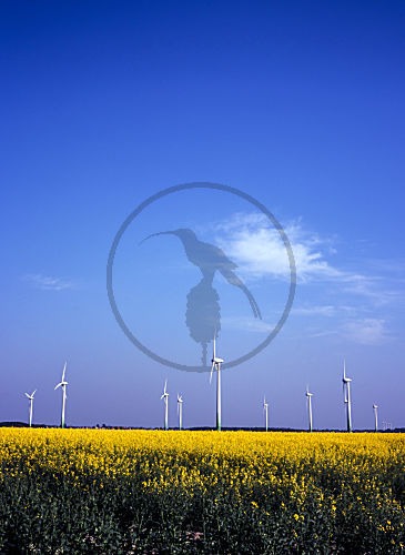 windpark in ostfriesland NIEDERSACHSEN