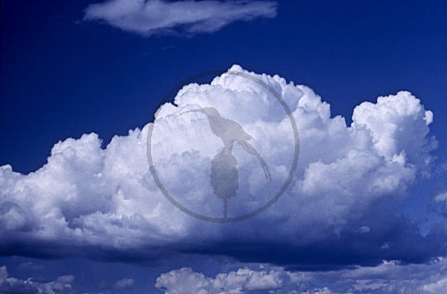 cumulus QUELLWOLKEN