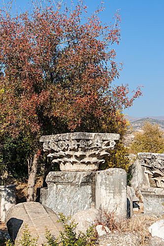 türkei KAPITELL AKANTHUS-MOTIV
