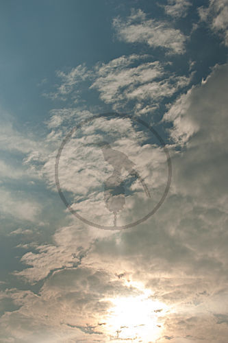 Himmel