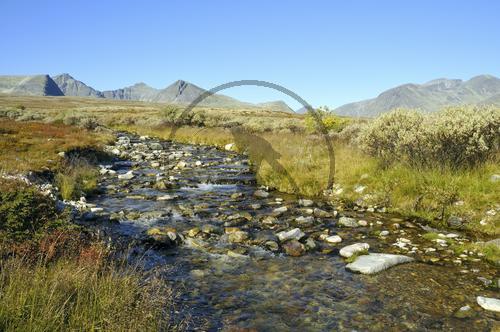 Rondane