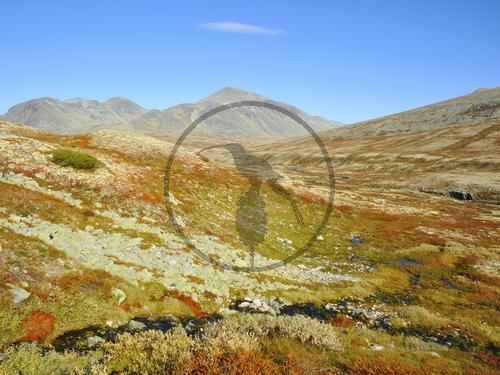 Rondane