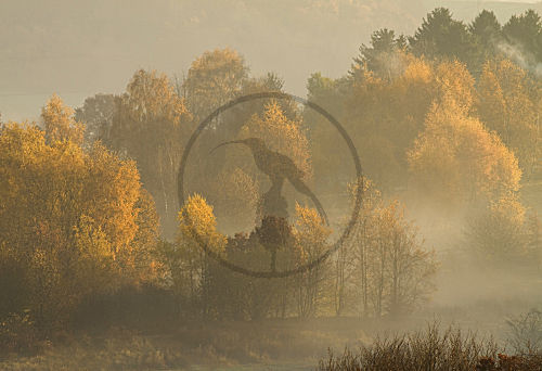 Das Ruhrtal im Herbst